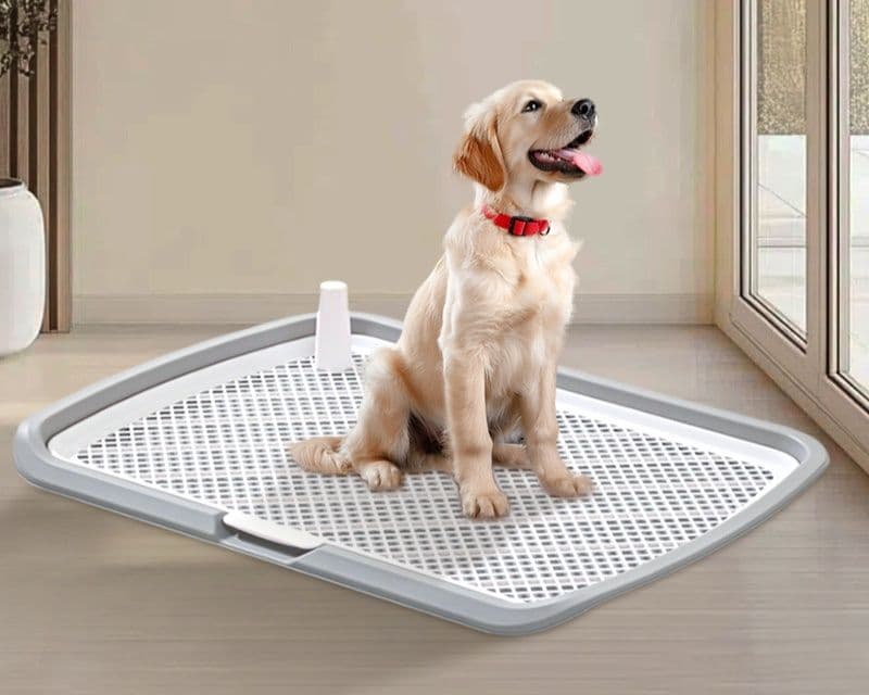 犬トイレ 大型犬用メッシュ格子付き超大型トイレトレー