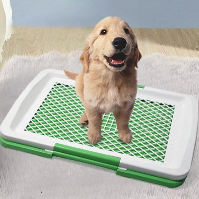 犬トイレ メッシュ付き洗える犬用トイレトレー