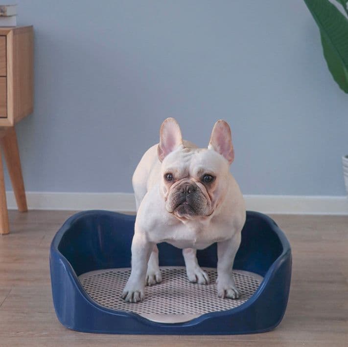 犬トイレ 囲い壁付き網目式犬用トイレトレー