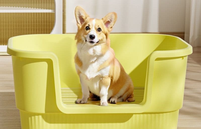 犬トイレ 犬トイレはみ出し防止トレー