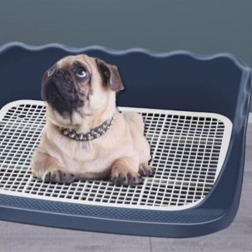 犬トイレ 水洗い簡単メッシュ付き犬用トイレトレー