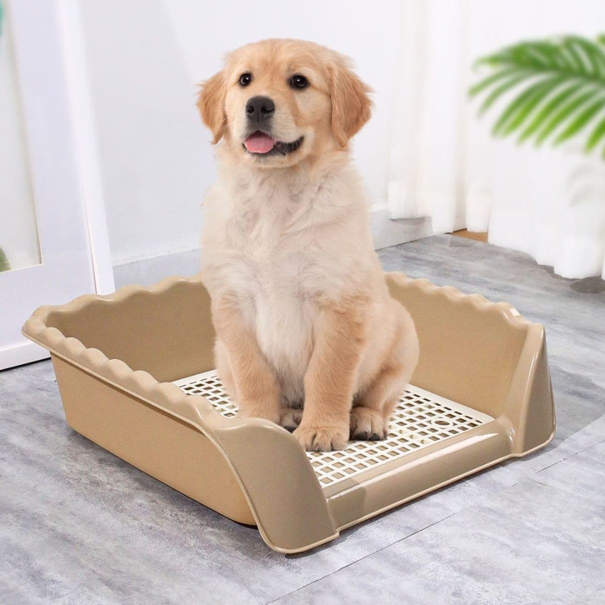 犬トイレ 三面囲い型犬用トイレトレー