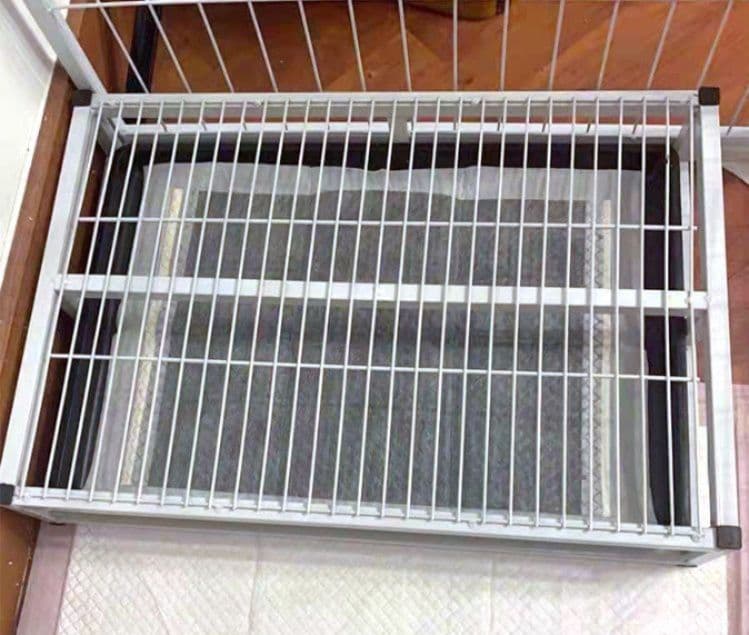 犬トイレ 大型犬対応引き出し式高床犬トイレ