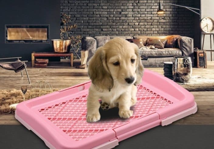 犬トイレ 網目付き二層式犬用トイレトレー