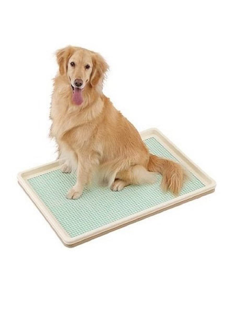 犬トイレ 二層式メッシュ付き犬用トイレトレー