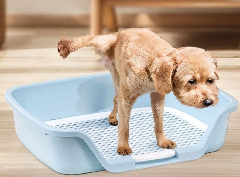 犬トイレ 格子すのこ犬用トイレトレー