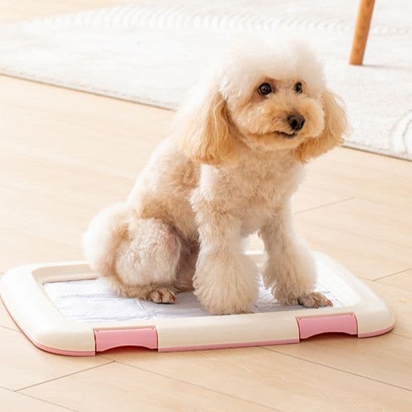 犬トイレ半開式犬用トイレトレー