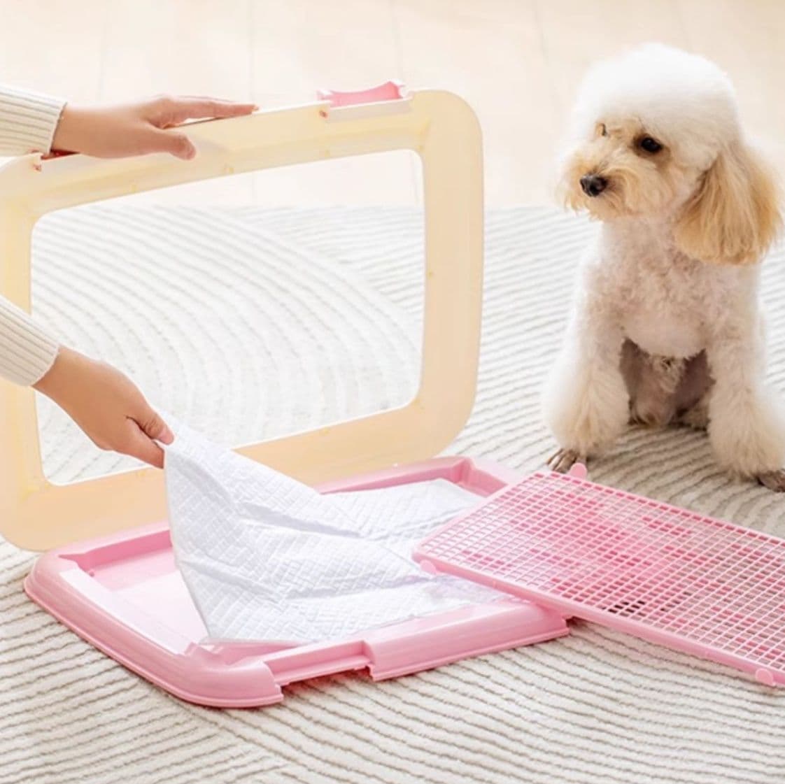 犬トイレ半開式犬用トイレトレー