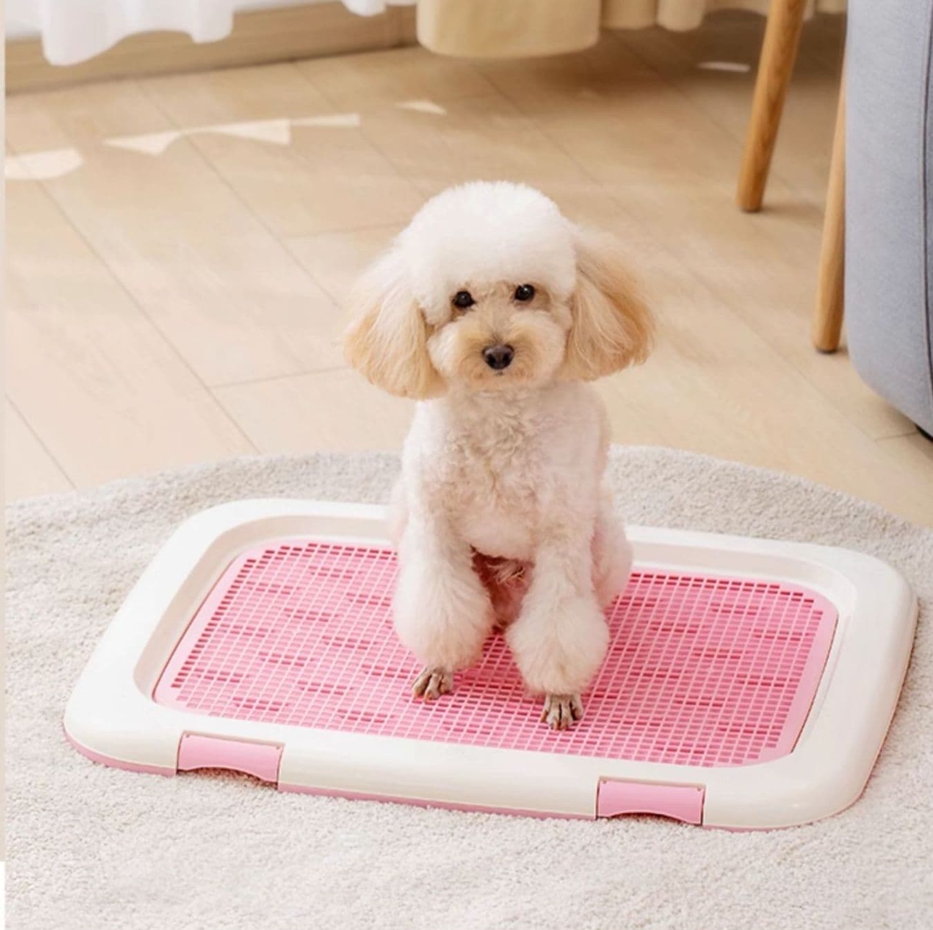 犬トイレ半開式犬用トイレトレー
