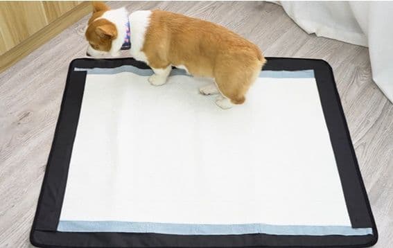 犬トイレ 縁取りデザイン吸収型犬トイレ用マット