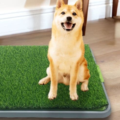 犬トイレ 人工芝生付き洗える犬トイレトレー