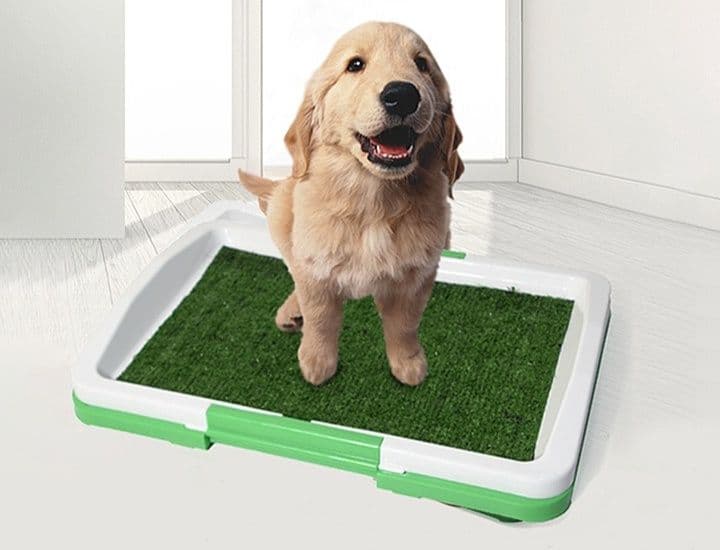 犬トイレ 掛け式設計人工芝付き犬用トイレトレー