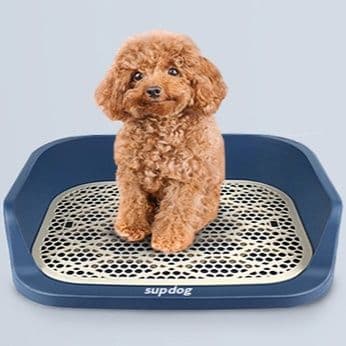 犬トイレ 壁付きメッシュトレー小型犬用トイレ