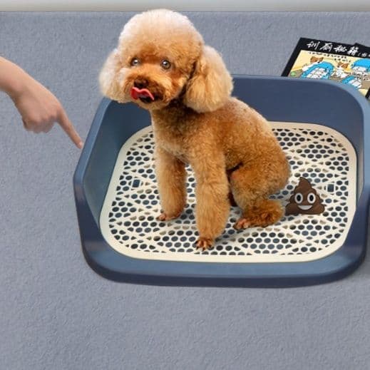 犬トイレ 壁付きメッシュトレー小型犬用トイレ