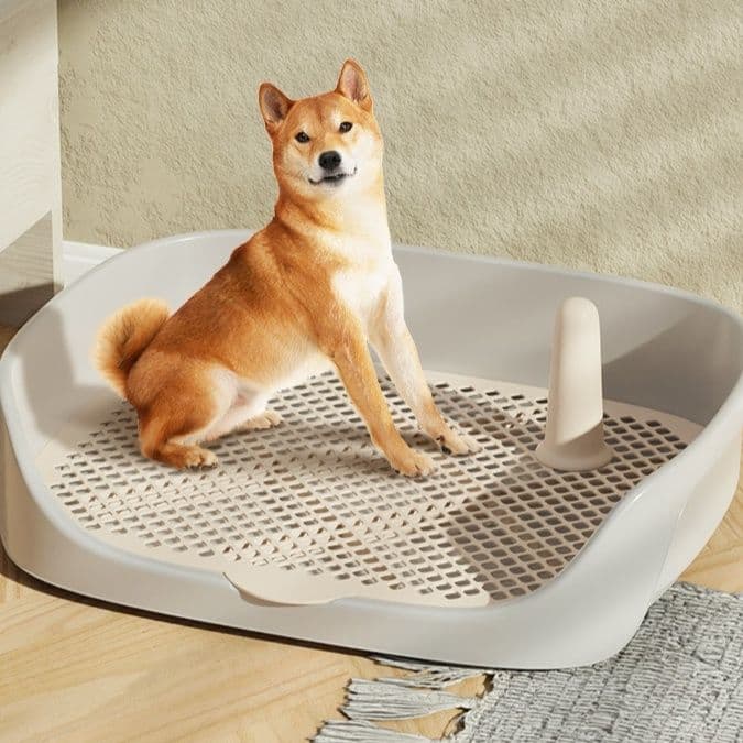 男の子用固定ポール付き大型犬トイレトレー