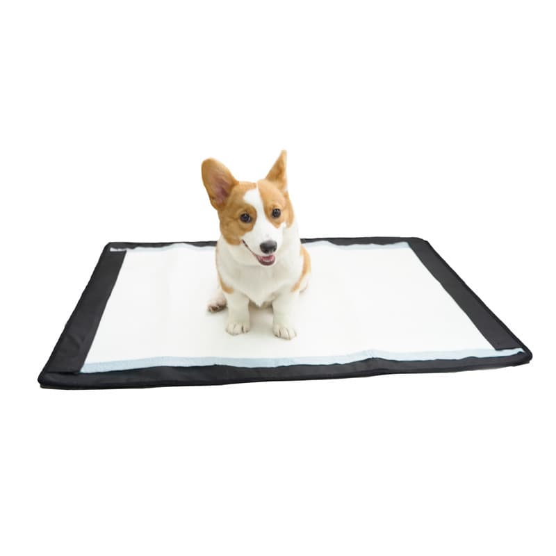 犬トイレ 縁取りデザイン吸収型犬トイレ用マット