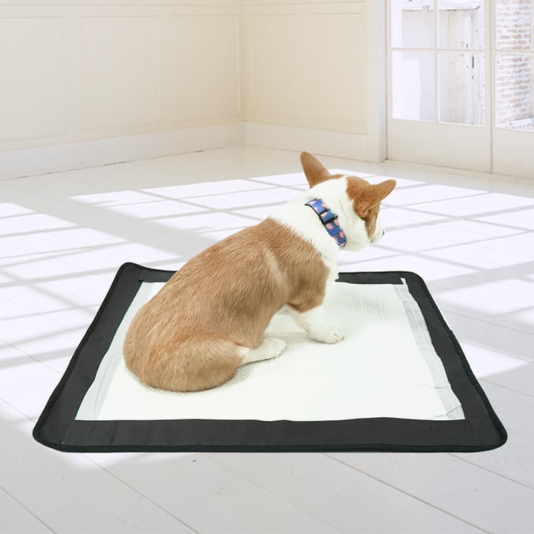 犬トイレ 縁取りデザイン吸収型犬トイレ用マット